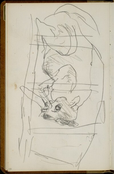 Parklandschaft (Cat Sleeping behind Bars)[p. 58]