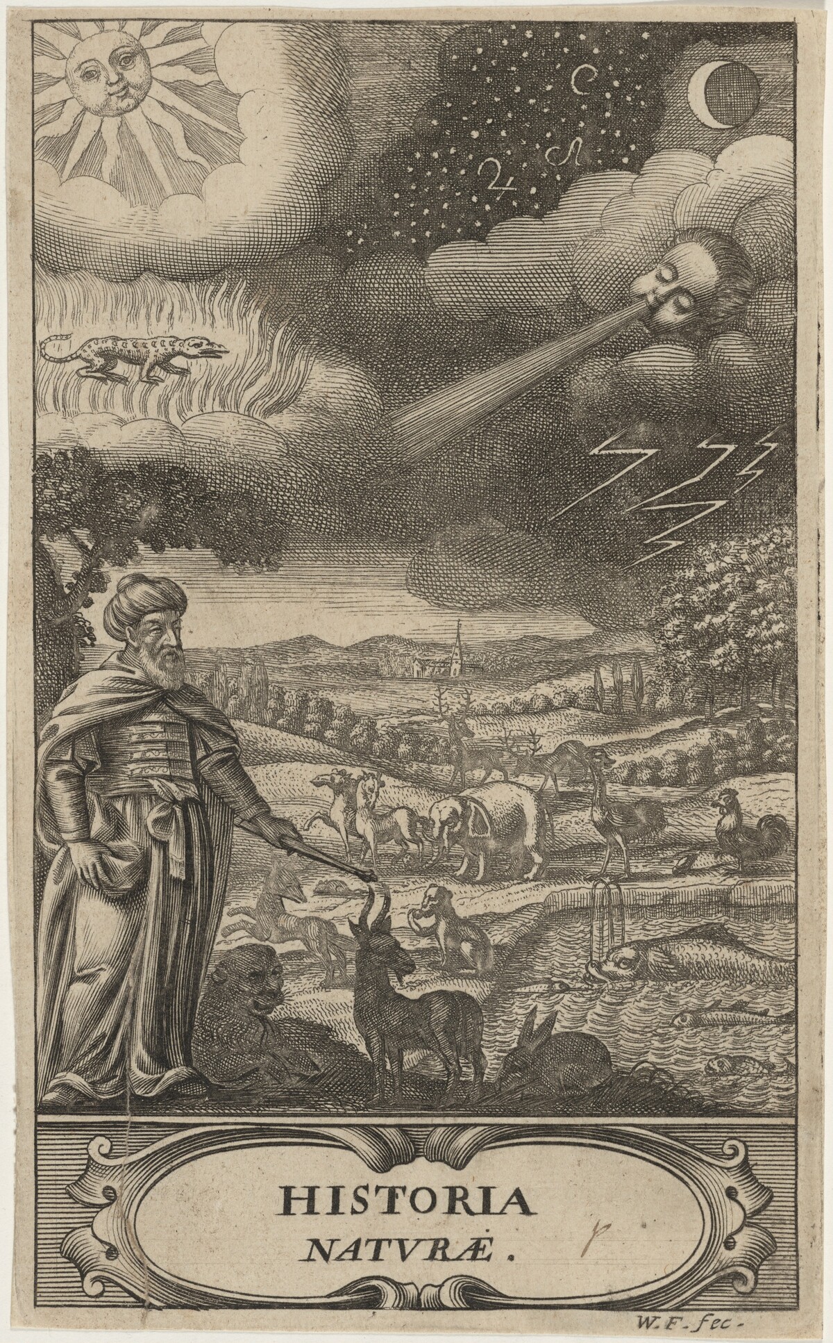 The Creation of Animals by William Faithorne