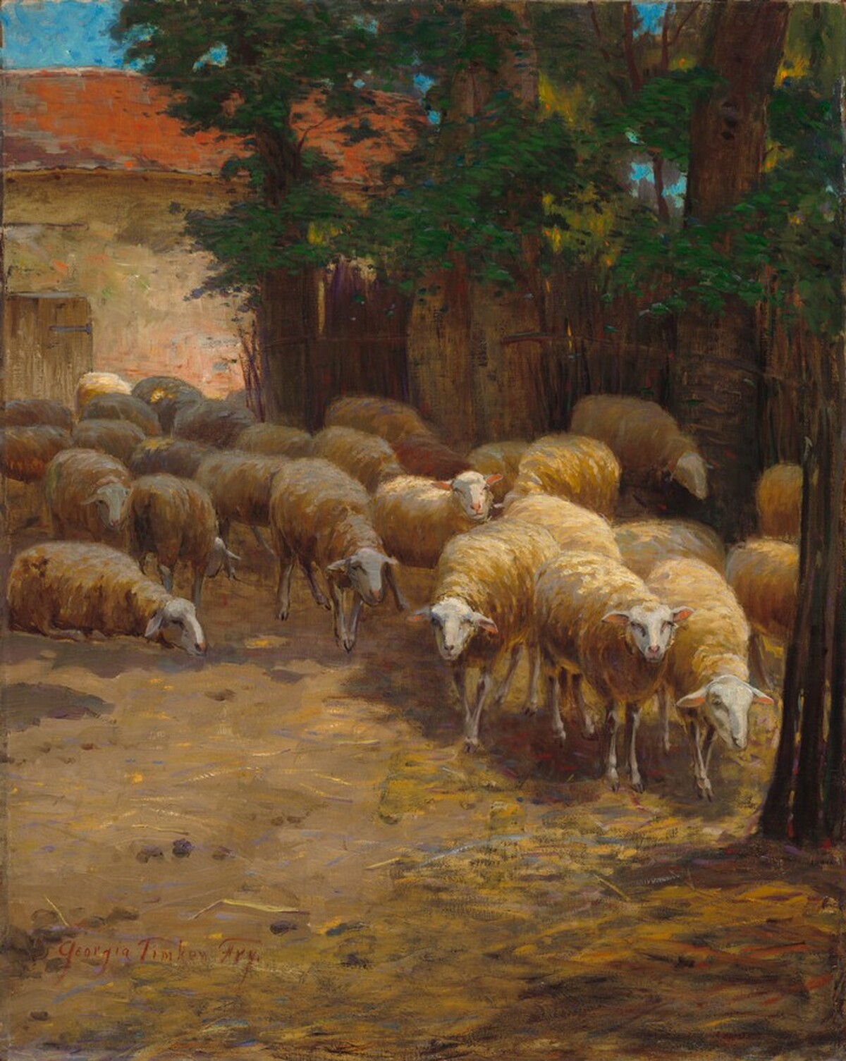 Flock of Sheep by Georgia Timken Fry
