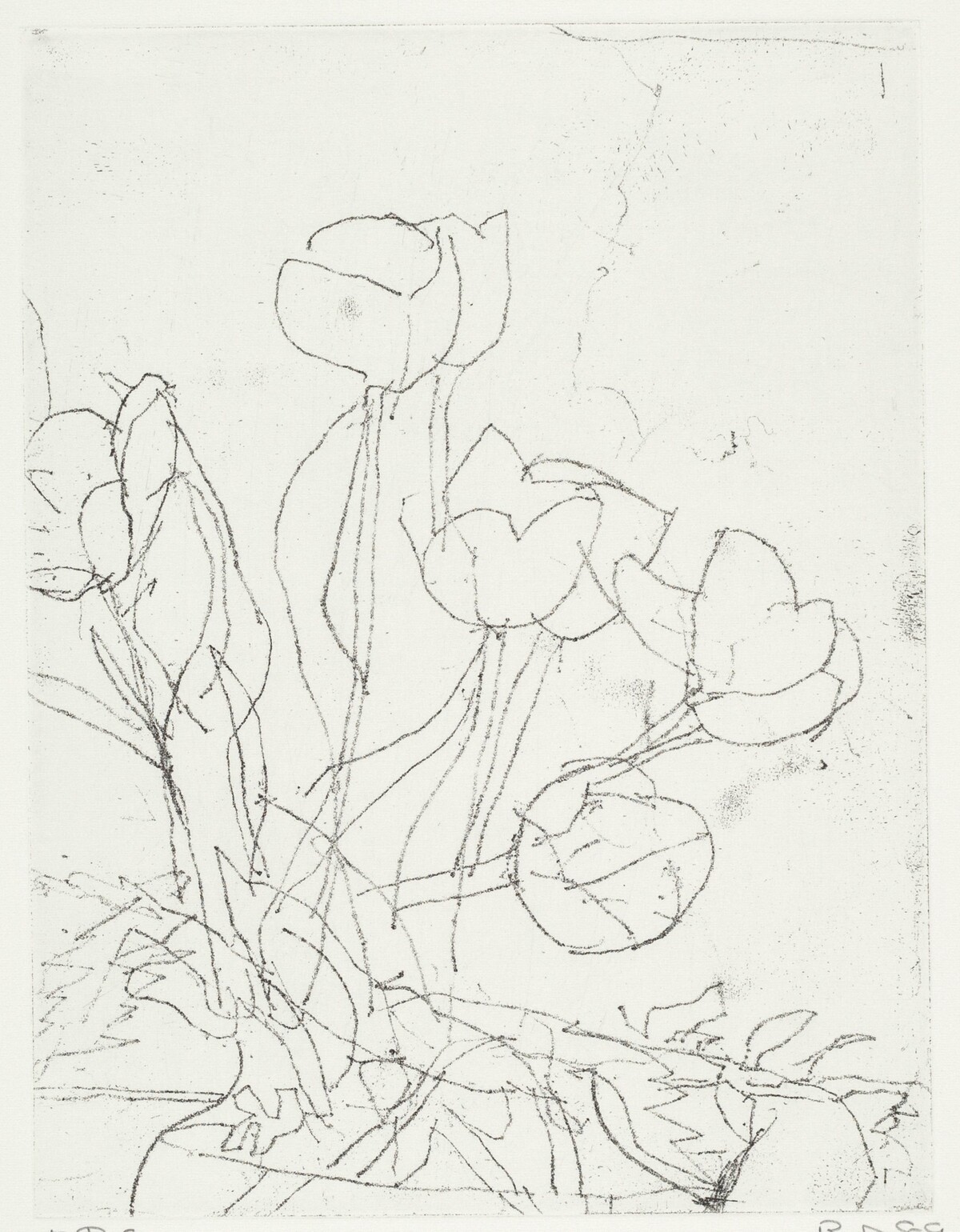 Tulips by Richard Diebenkorn
