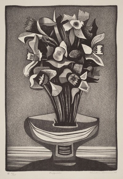 Daffodils