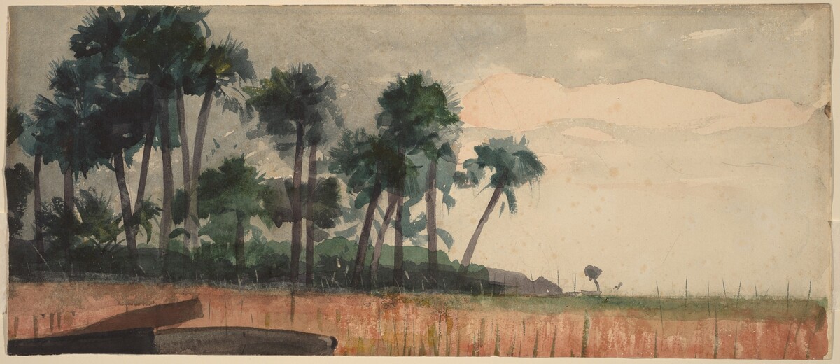 Palm Trees, Red by Winslow Homer