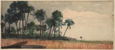 Palm Trees, Red