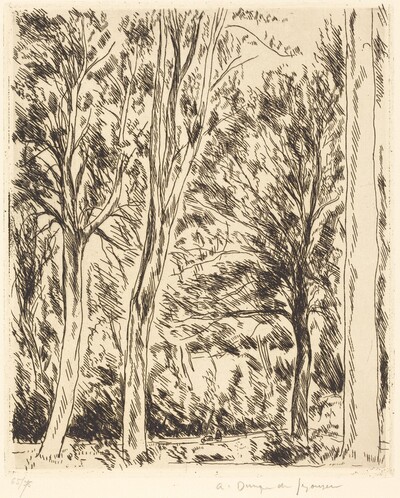 Forest at Chaville (Bois de Chaville)