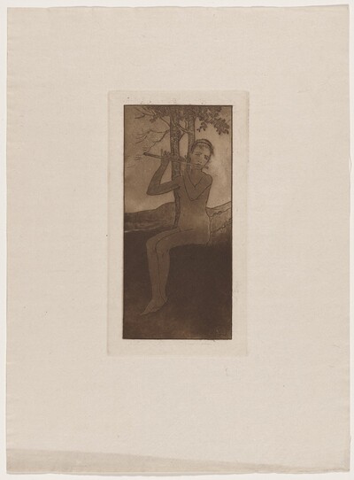 Le chant de la cigale