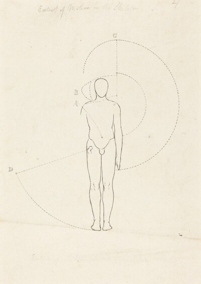 Extent of Motion, One Figure