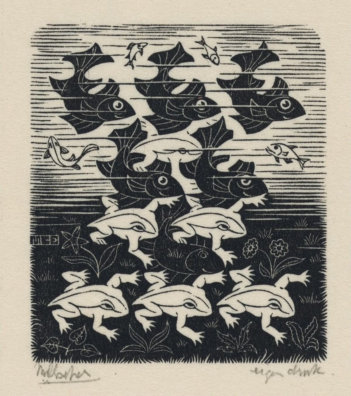 Fish and Frogs by M.C. Escher