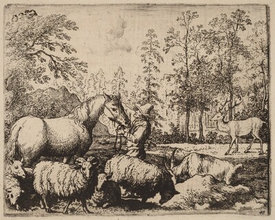 The Horse and the Stag