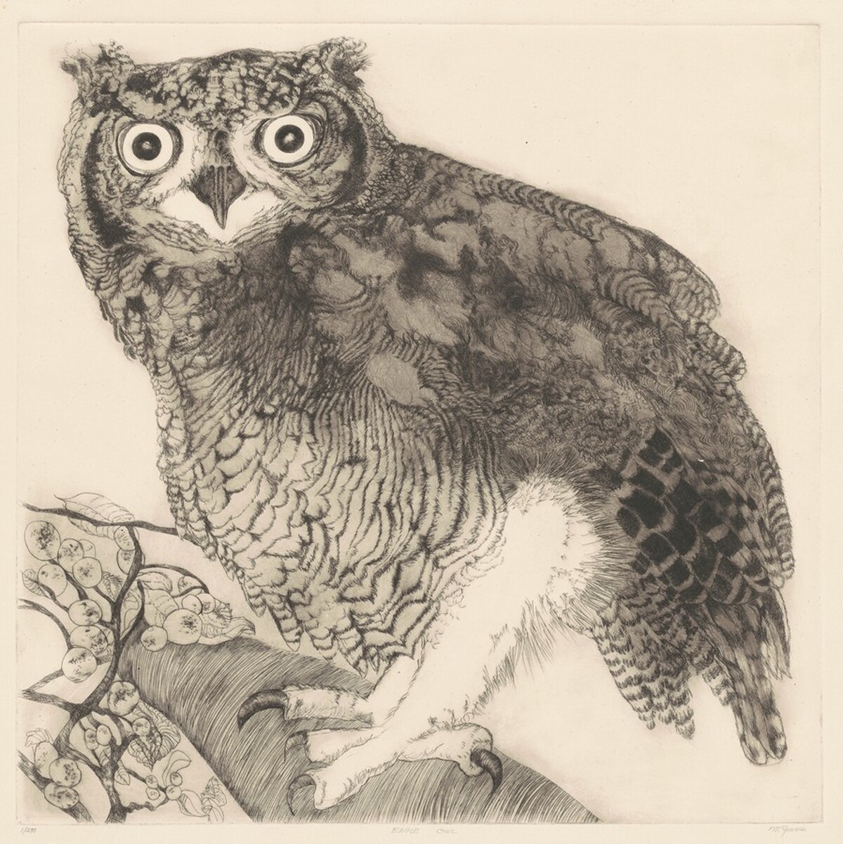 Eagle Owl by Christine McGinnis