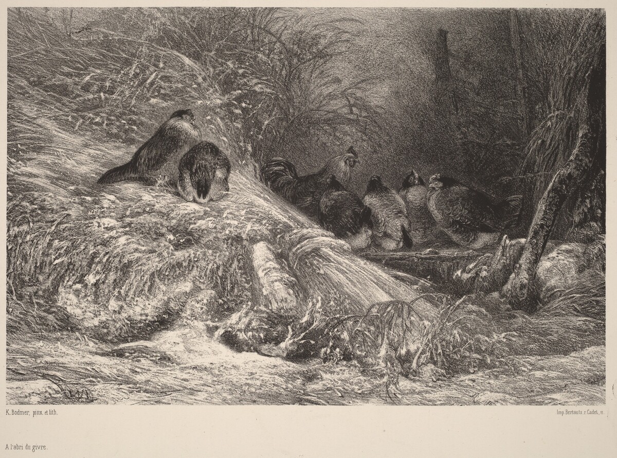 A l'abri du givre by Karl Bodmer