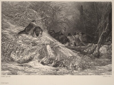 A l'abri du givre