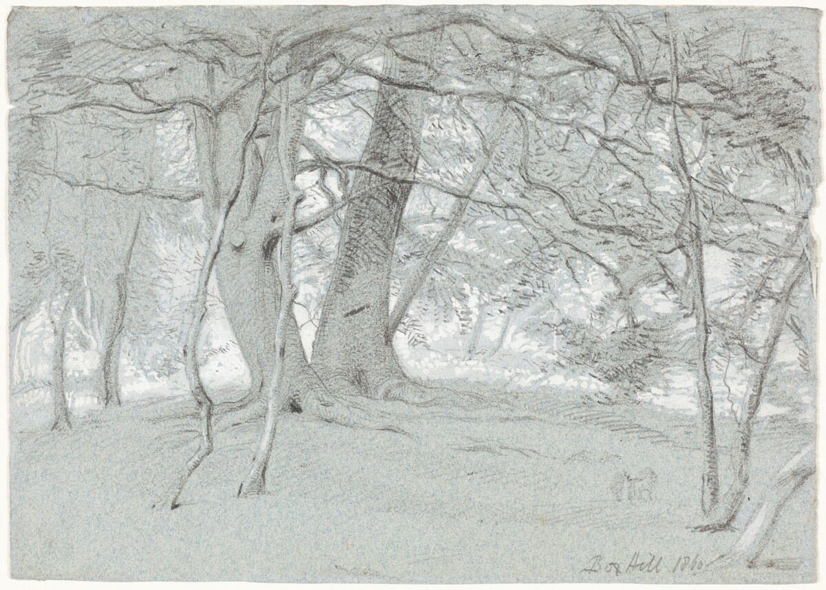 Trees at Box Hill by Sir William Blake Richmond