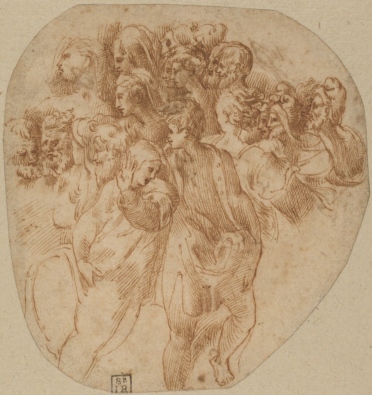 Figures Studies [recto] by Attributed to Girolamo Mazzola Bedoli