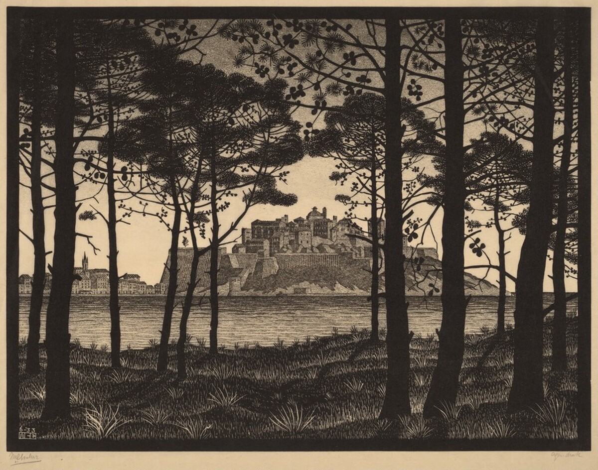 Pineta of Calvi, Corsica by M.C. Escher