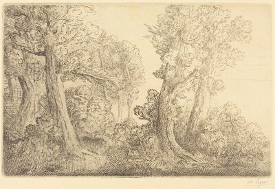 Near the Woods, Veronne (Pres du bois, Veronne)