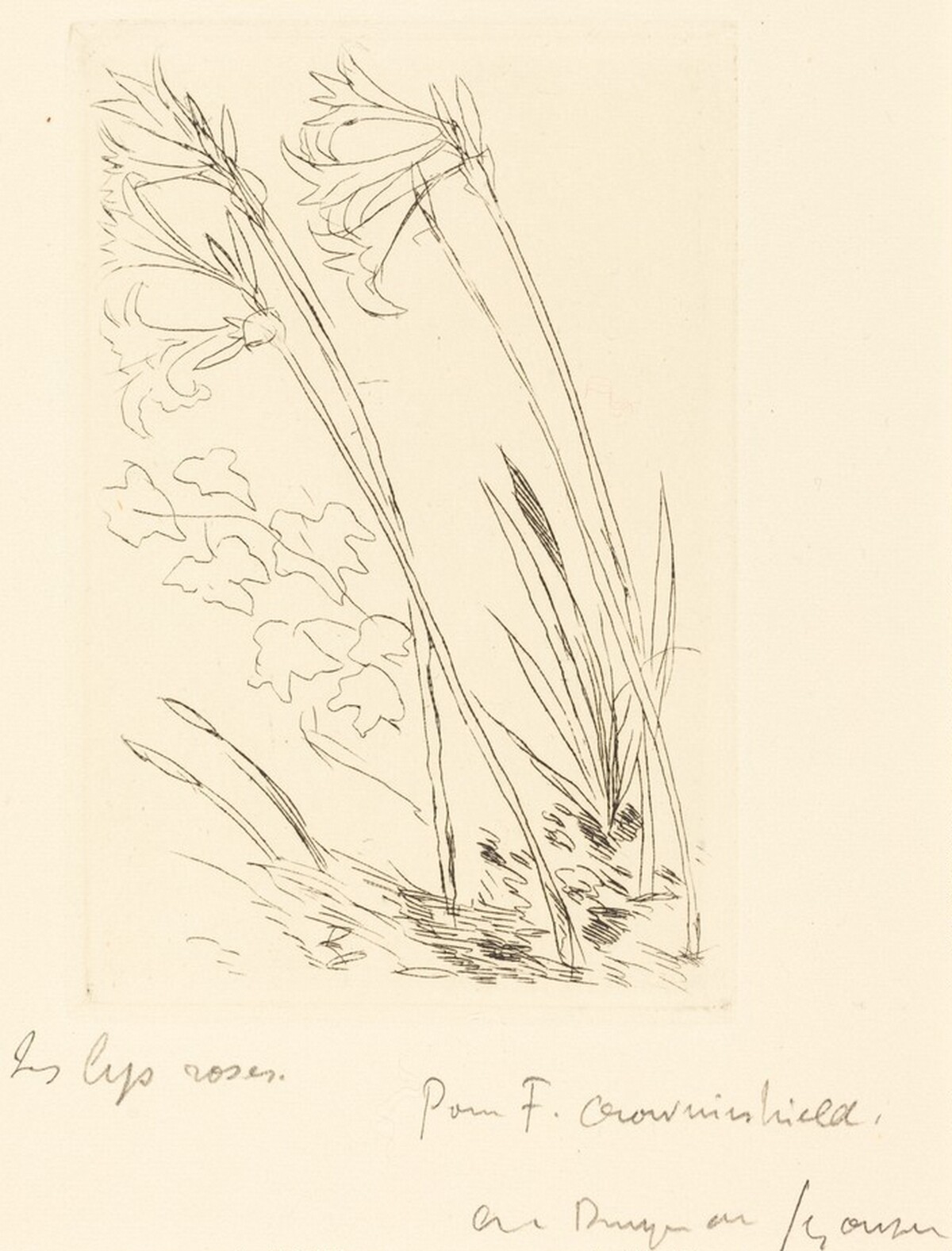 Les lys roses by André Dunoyer de Segonzac