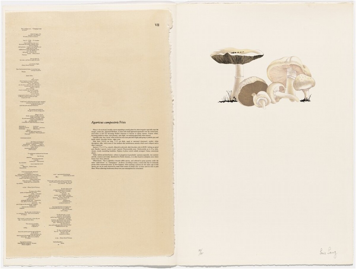 Untitled by Lois Long
