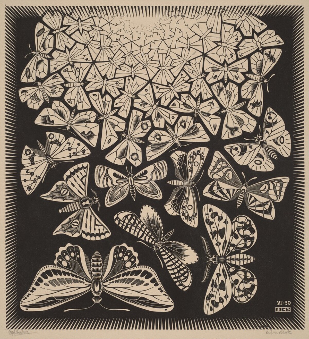 Butterflies by M.C. Escher