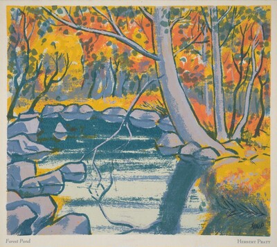 Forest Pond