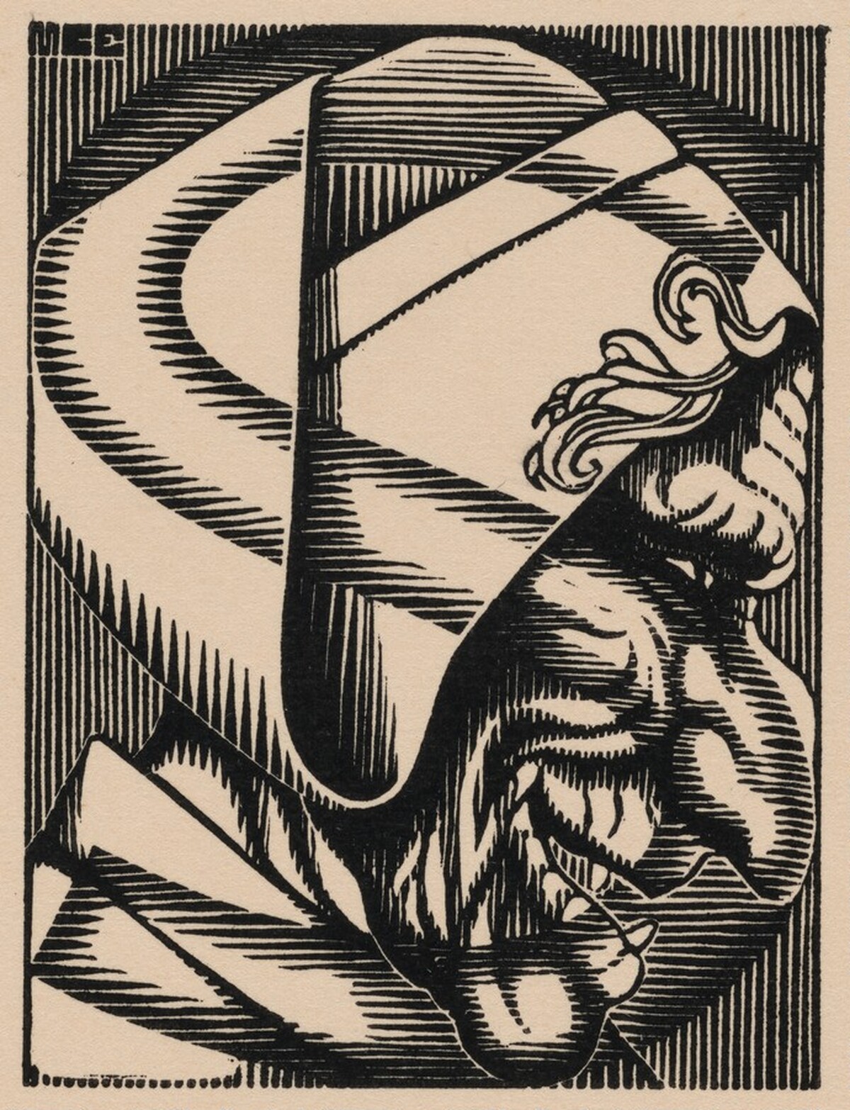 Initial S by M.C. Escher