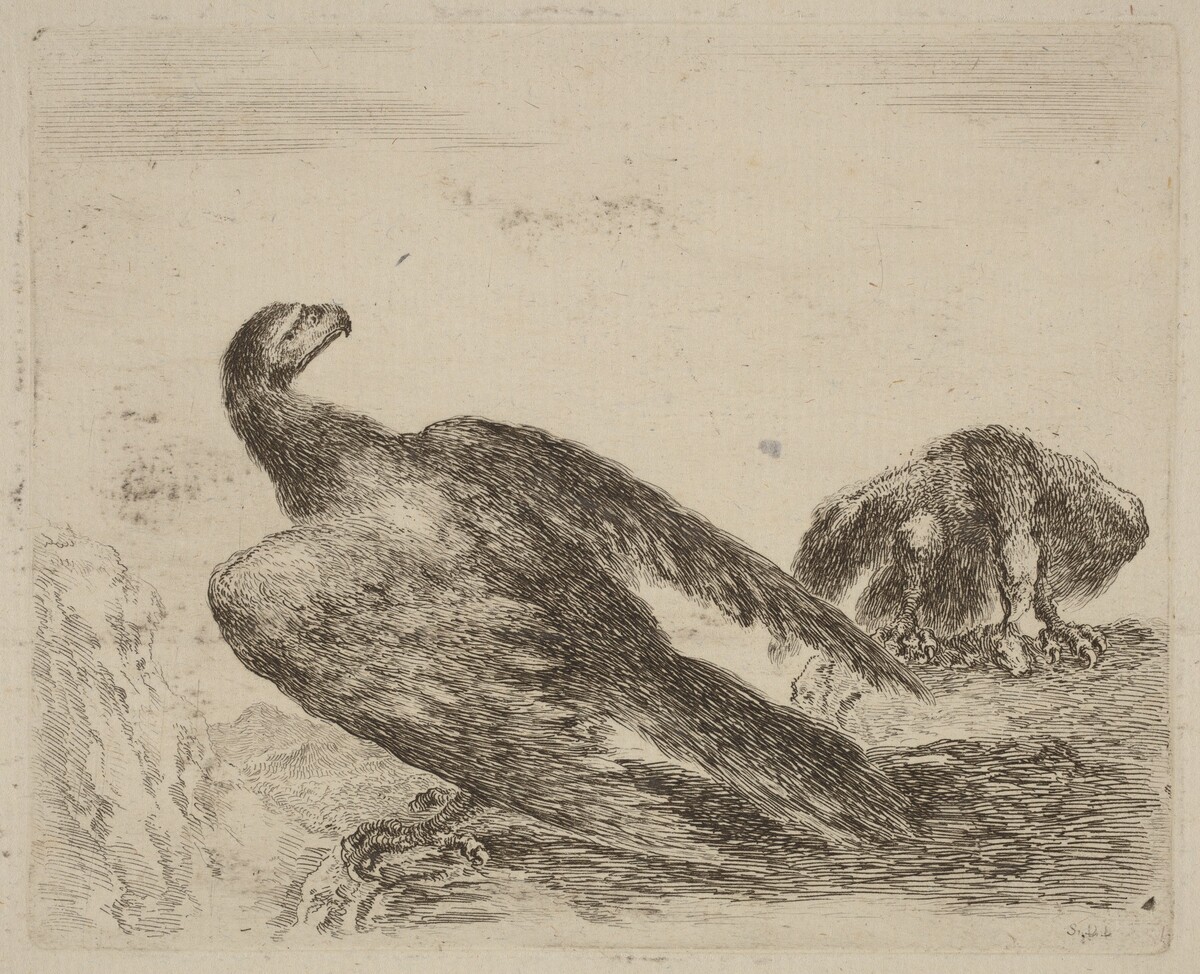 Two Eagles on a Promitory by Stefano Della Bella