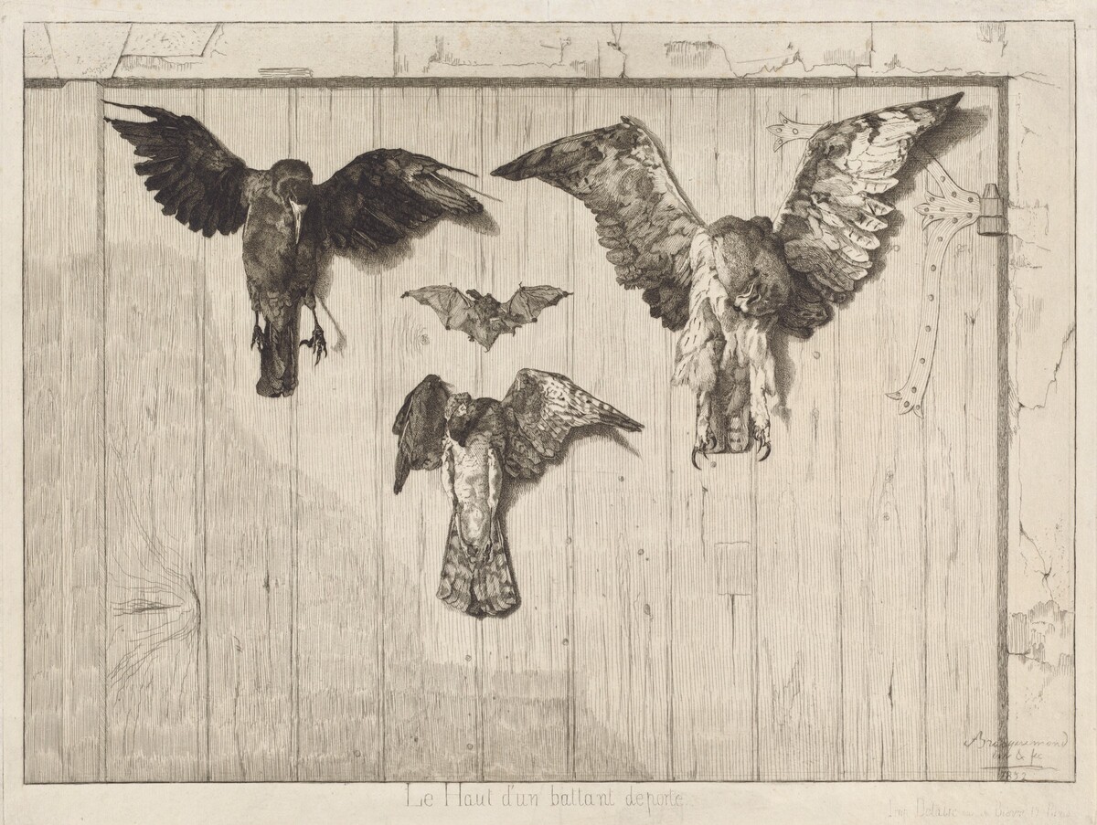 Le haut d'un battant de porte (Birds Nailed to a Barn Door) by Félix Bracquemond