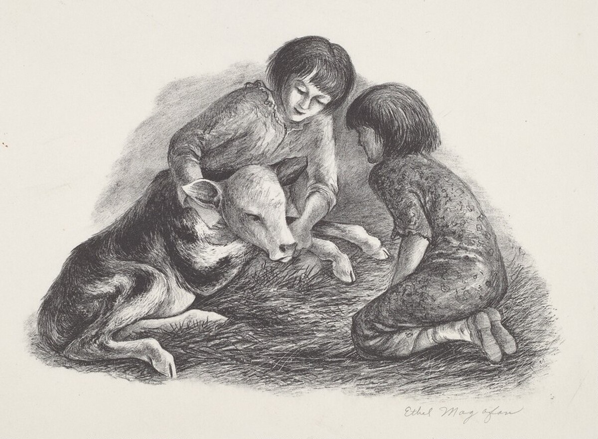 Young Calf by Ethel Magafan