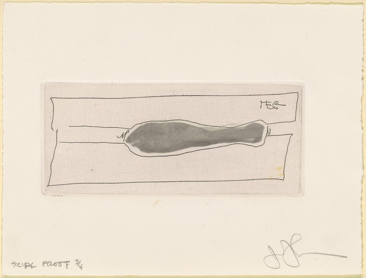 Buttocks/Knees/FootHandSockFloor/Face/Torso (little plates) [trial proof 3] by Jasper Johns
