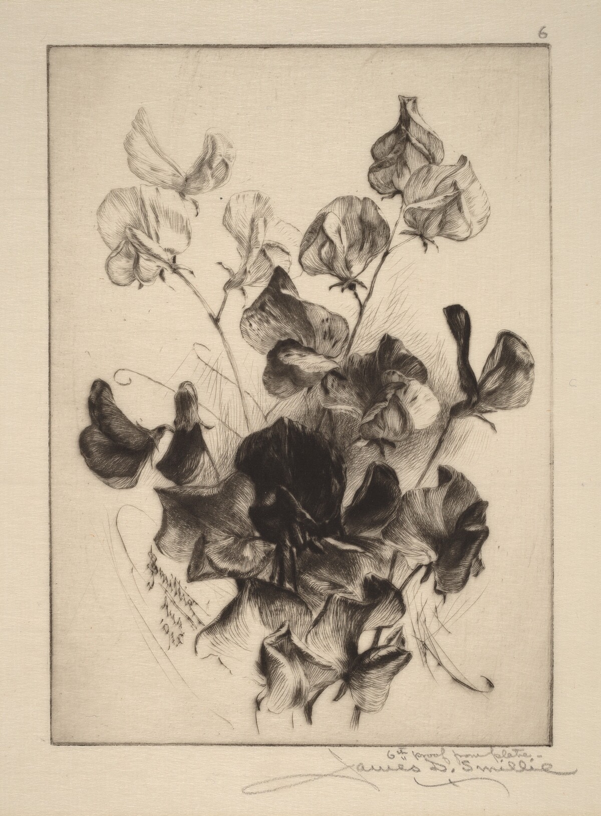 Sweet Peas by James David Smillie