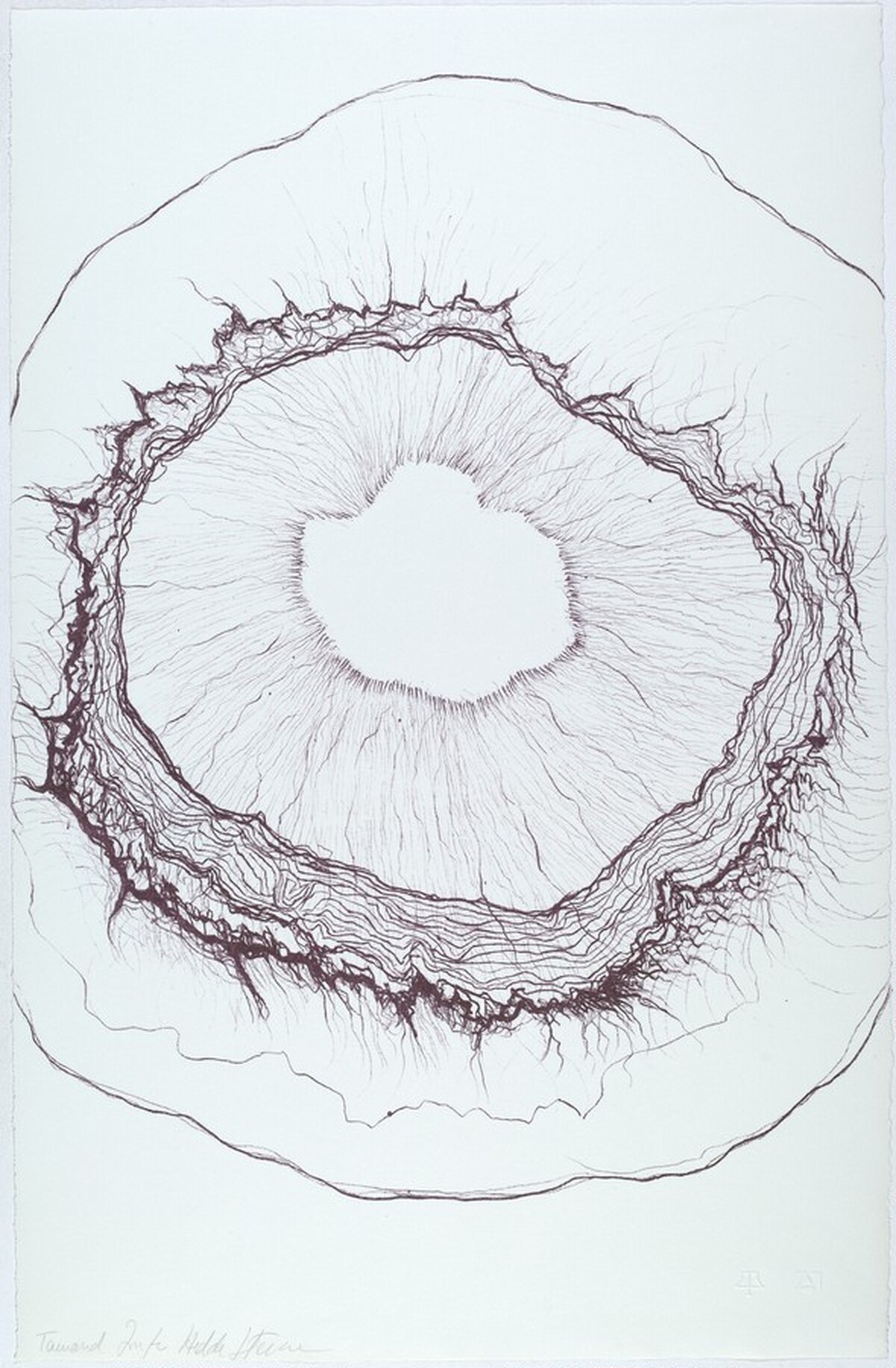 Untitled by Hedda Sterne