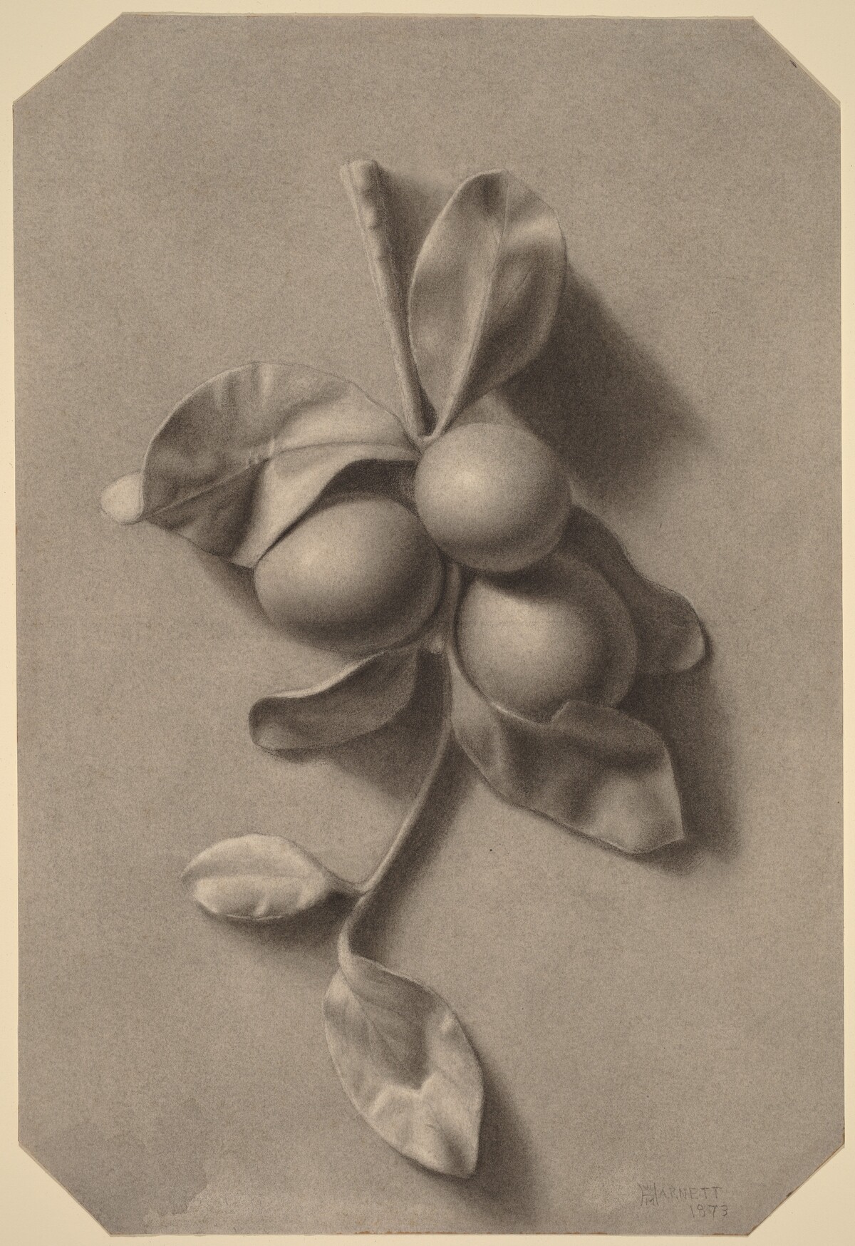 A Sprig of Plums by William Michael Harnett