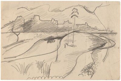 Grassy Peninsula with City Seen Across River