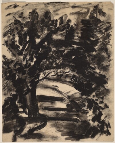 Wooded Pathway