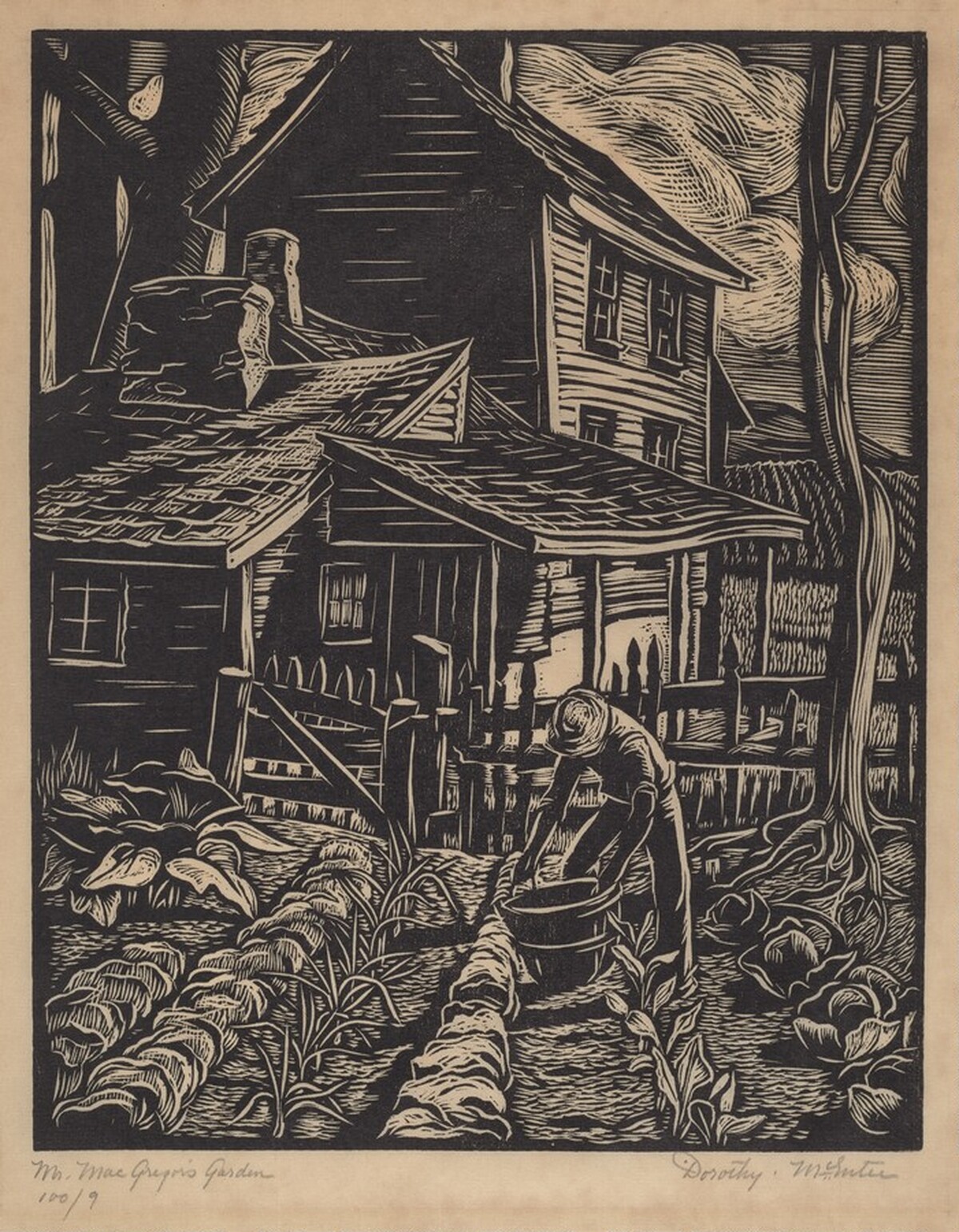 Mr. MacGregor's Garden by Dorothy Layng McEntee