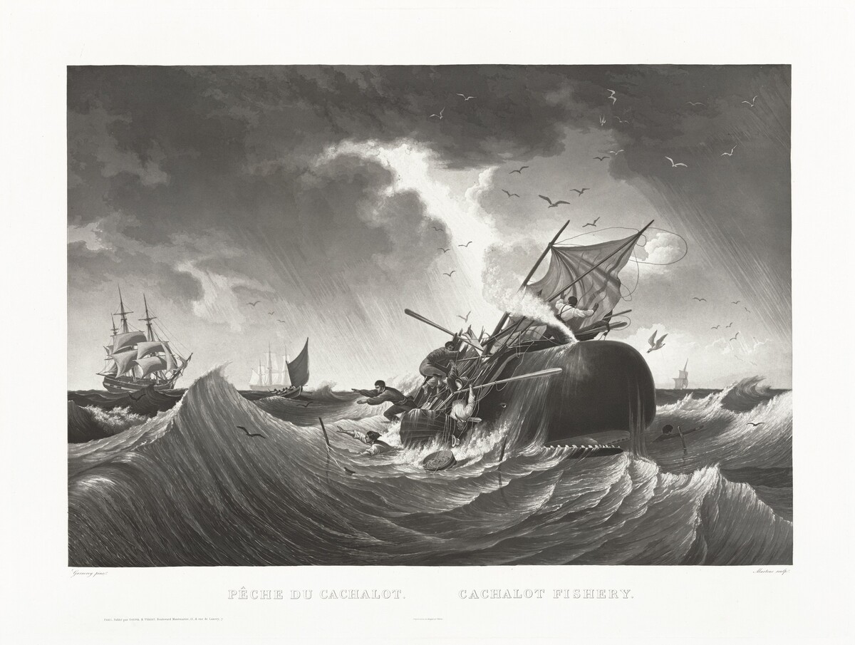 Pêche du Cachalot, Cachalot Fishery by Friedrich von Martens, after Louis Garneray