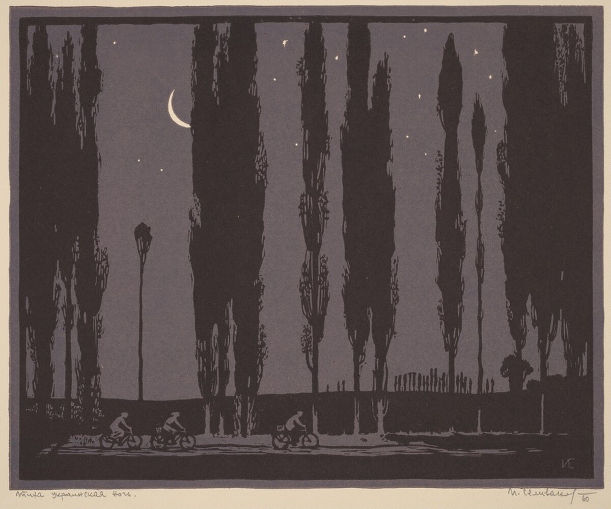 A Silent Ukrainian Night by Ivan Mykhailovych Selivanov