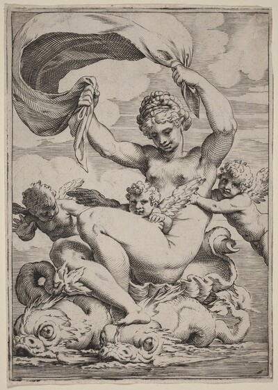 Venus or Galatea Supported by Dolphins