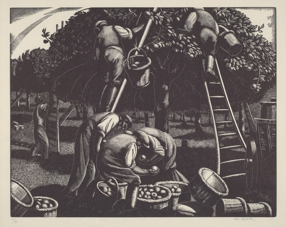 Apple Picking by Clare Leighton