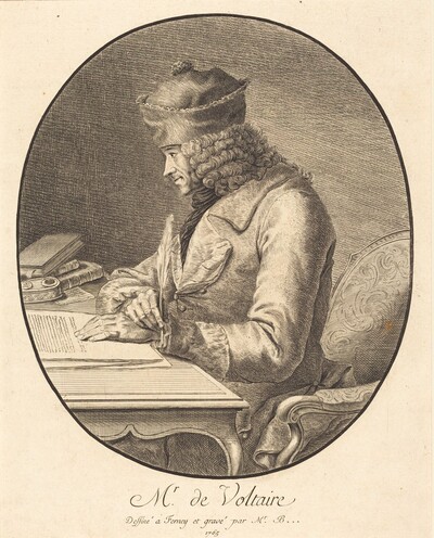 Mr. de Voltaire