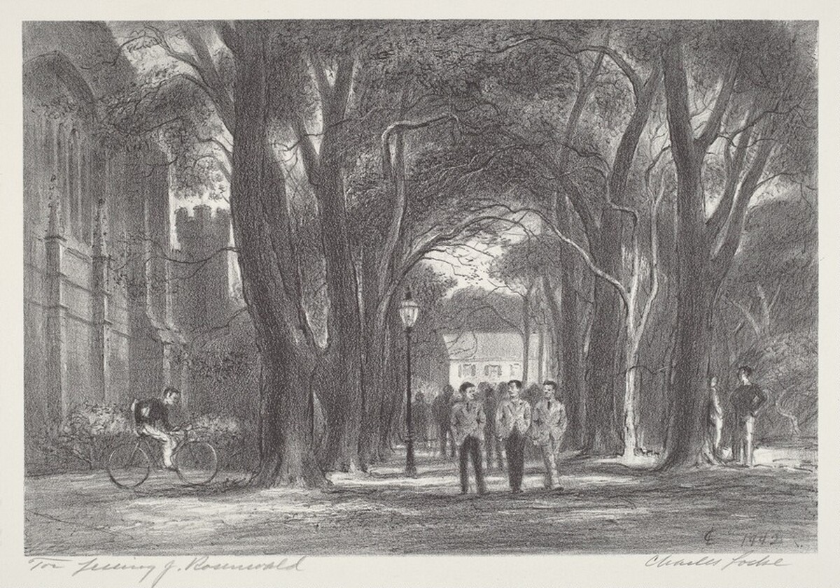 McCosh Walk by Charles Wheeler Locke