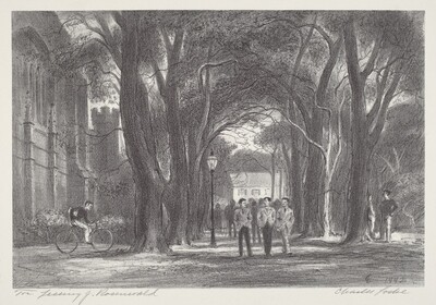 McCosh Walk