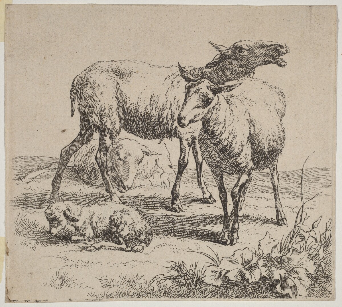 Three Sheep and a Lamb by Nicolaes Pietersz Berchem