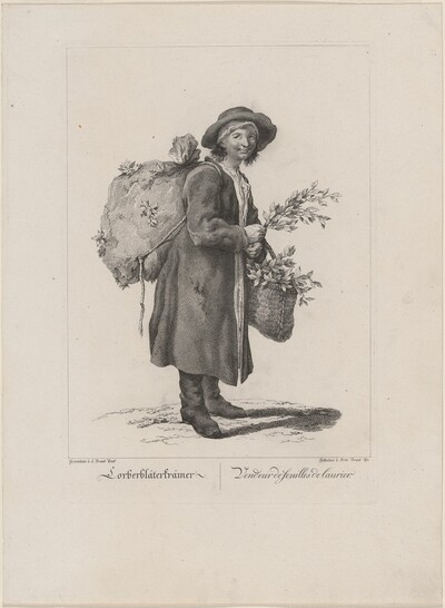 Lorberbläterkrämer (Bay Leaf Seller)
