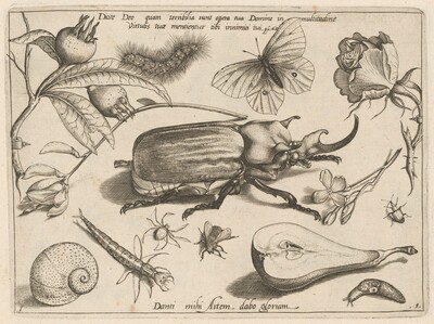 Part 1, Plate 1, from the series Archetypa studiaque (Archetypes and Studies)
