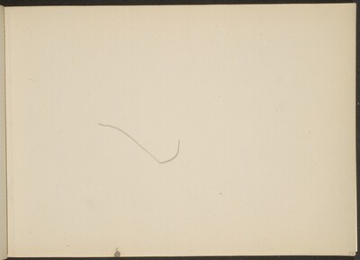 Nase (Nose) [p. 25]