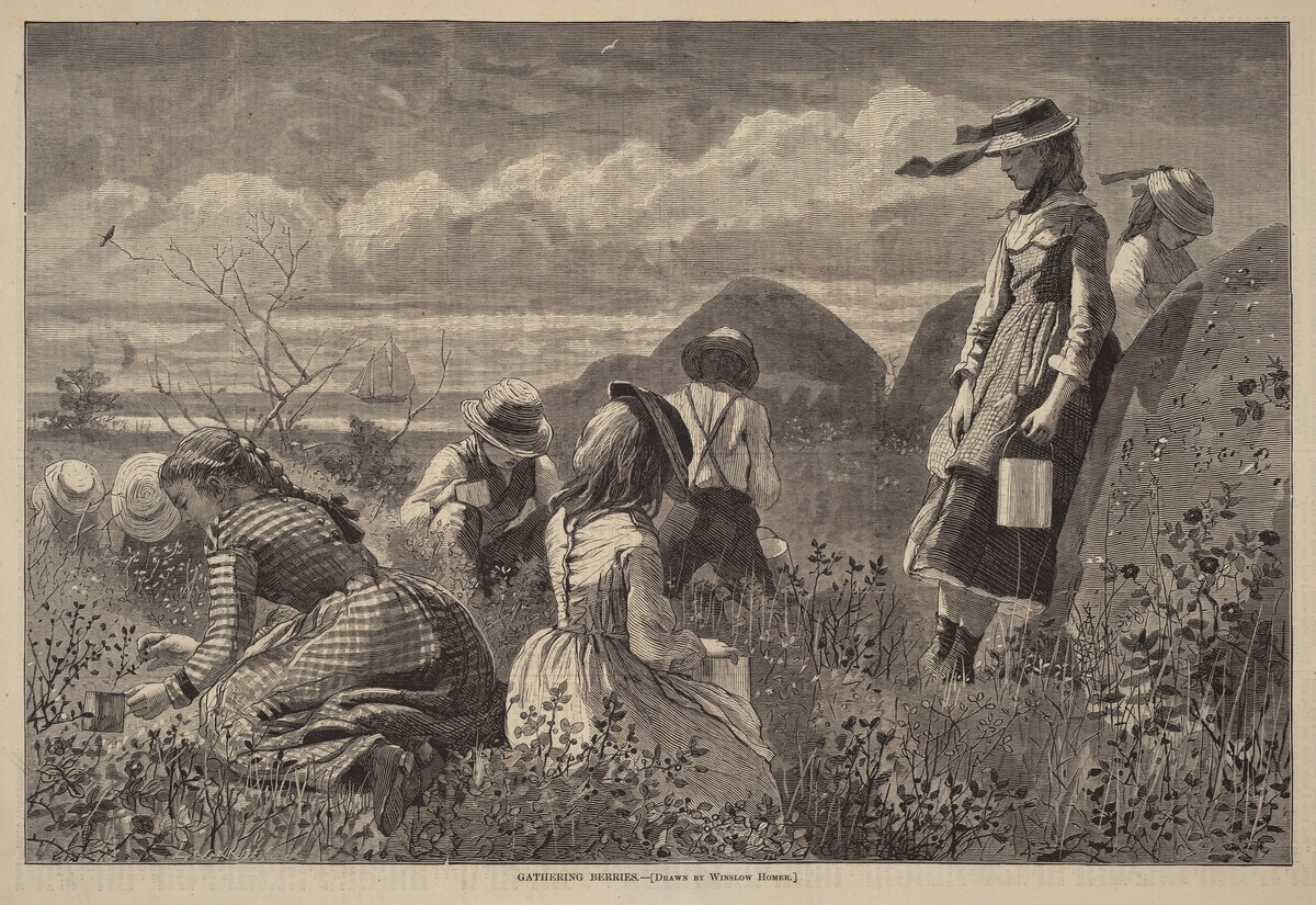 Gathering Berries by Lagarde after Winslow Homer