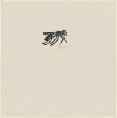 Bee