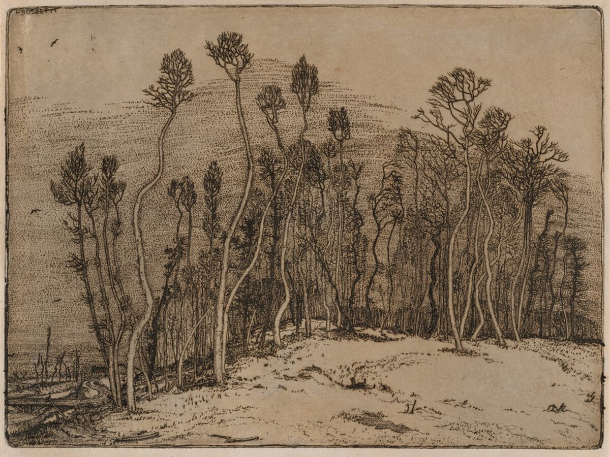 Winter Landscape (Il bosco d'inverno) by Cino Bozzetti