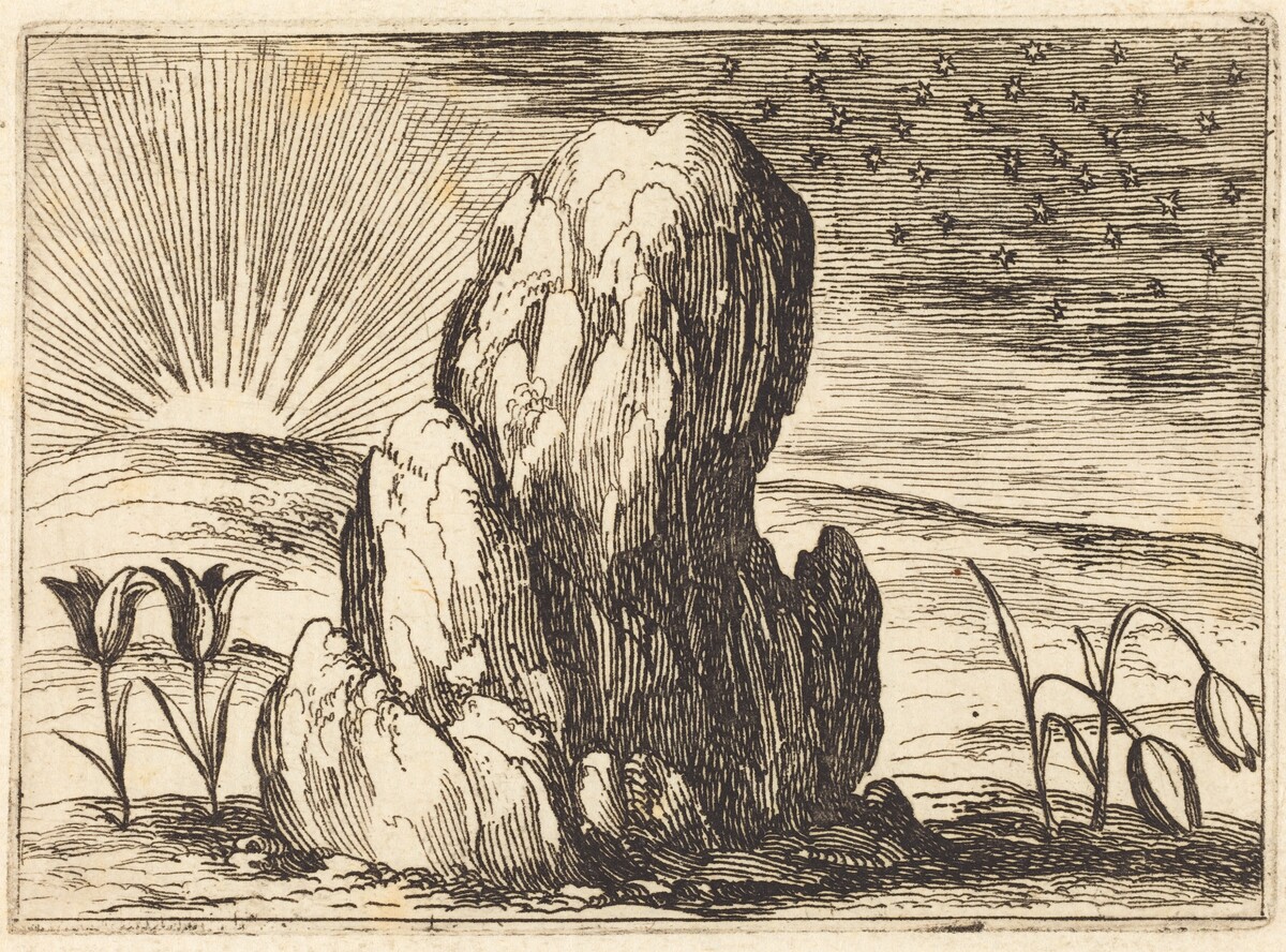 The Tulips and the Sun by Jacques Callot