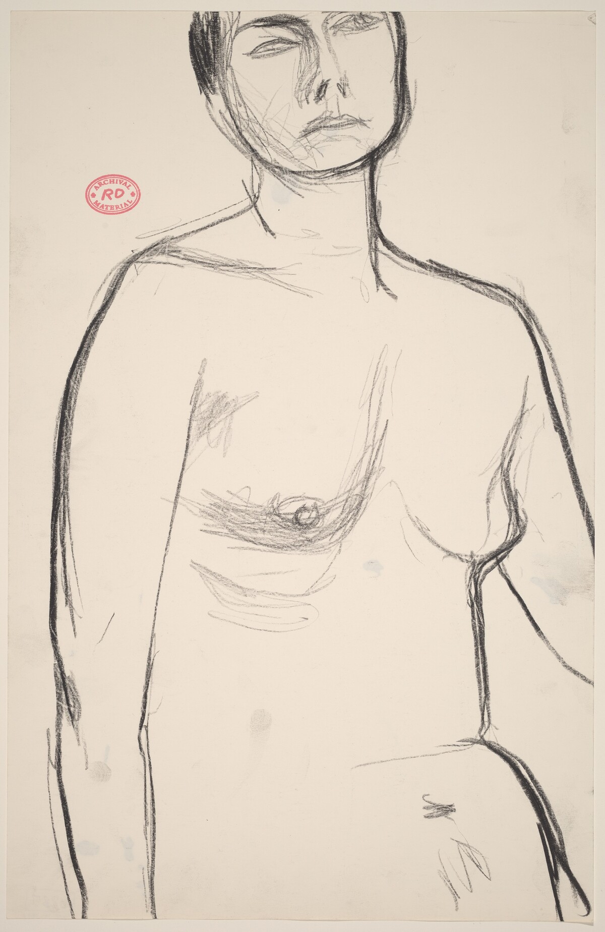 Untitled [view of a female nude from belly to forehead] by Richard Diebenkorn